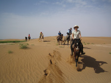 Morocco-Morocco-Sand Dunes Horse & Camel Ride